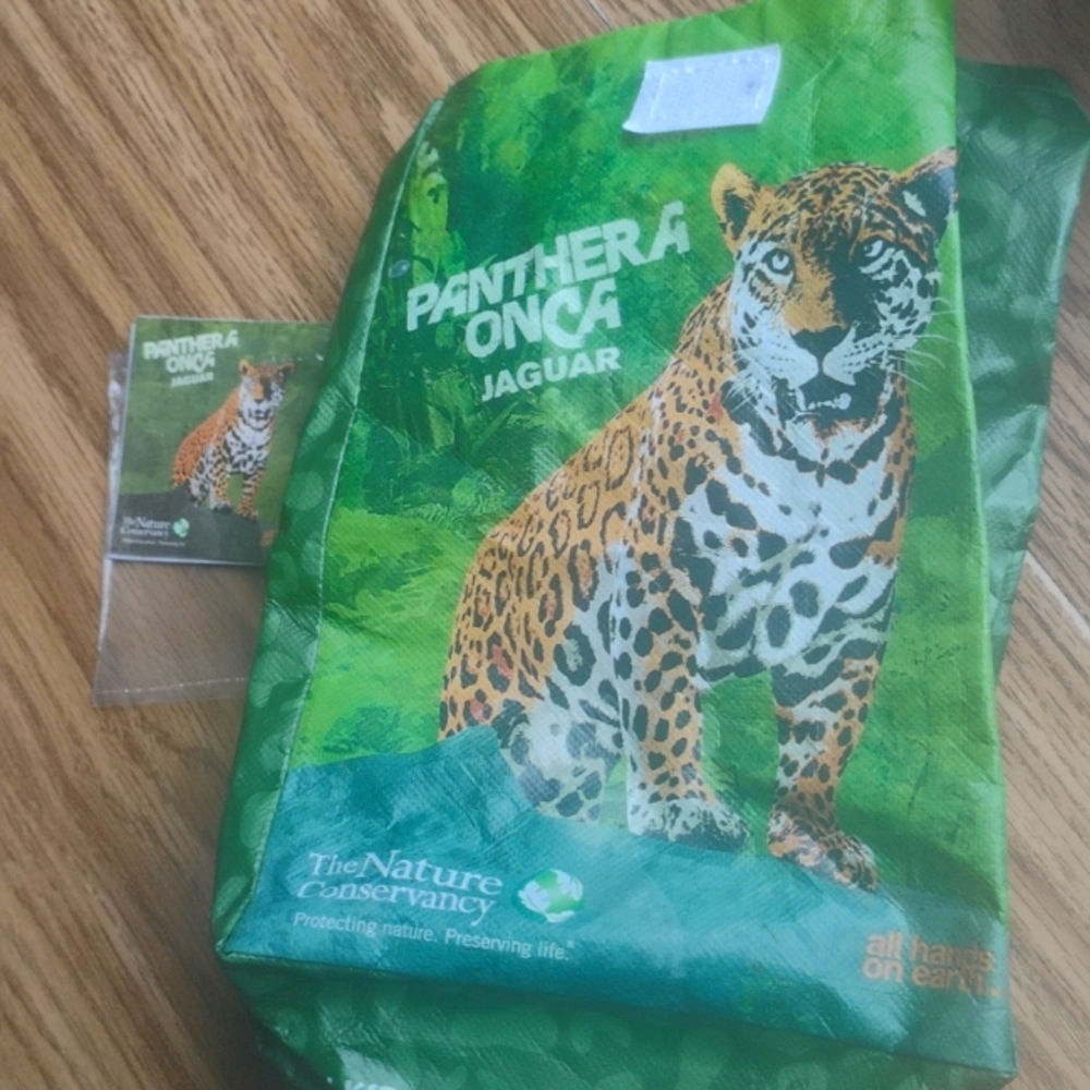 🐆 Stunning PANTHERA ONCA JAGUAR Deadstock 2012 SUBWAY REUSABLE LUNCH BAG 🐆
